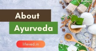 Understanding Doshas of Ayurveda and Their Impact on Health