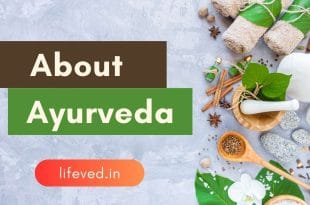 Understanding Doshas of Ayurveda and Their Impact on Health