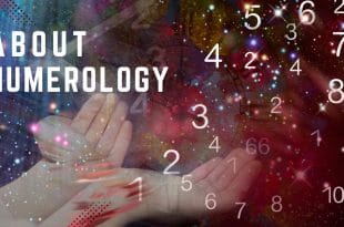 Top 10 Online Numerology Calculator Sites for Self-Discovery and Personal Growth