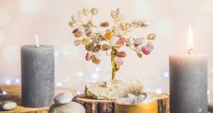 Top 10 Feng Shui Tips for a Positive Home Energy