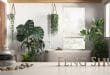How to Set Up Your Desk for Career Success Using Feng Shui Principles