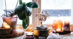 A Beginner’s Guide to the Five Elements of Feng Shui