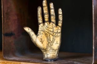 What Your Hand Shape Says About Your Personality