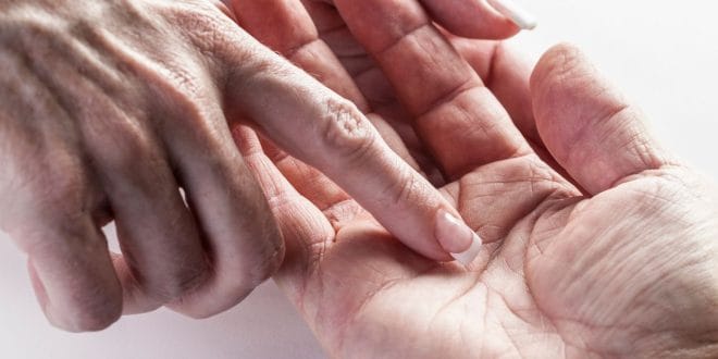 How Palmistry Can Reveal Legal Success Through the Fate Line and Saturn Mount