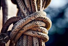 The ultimate guide to herbal teas